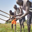 men clears a field for planting in Mading Achueng village in Abyei in 2015 (Photo credit: Paul Jeffrey)